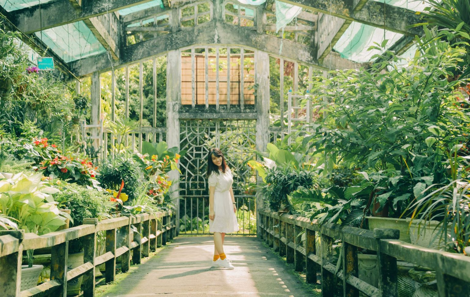 woman standing inside green house