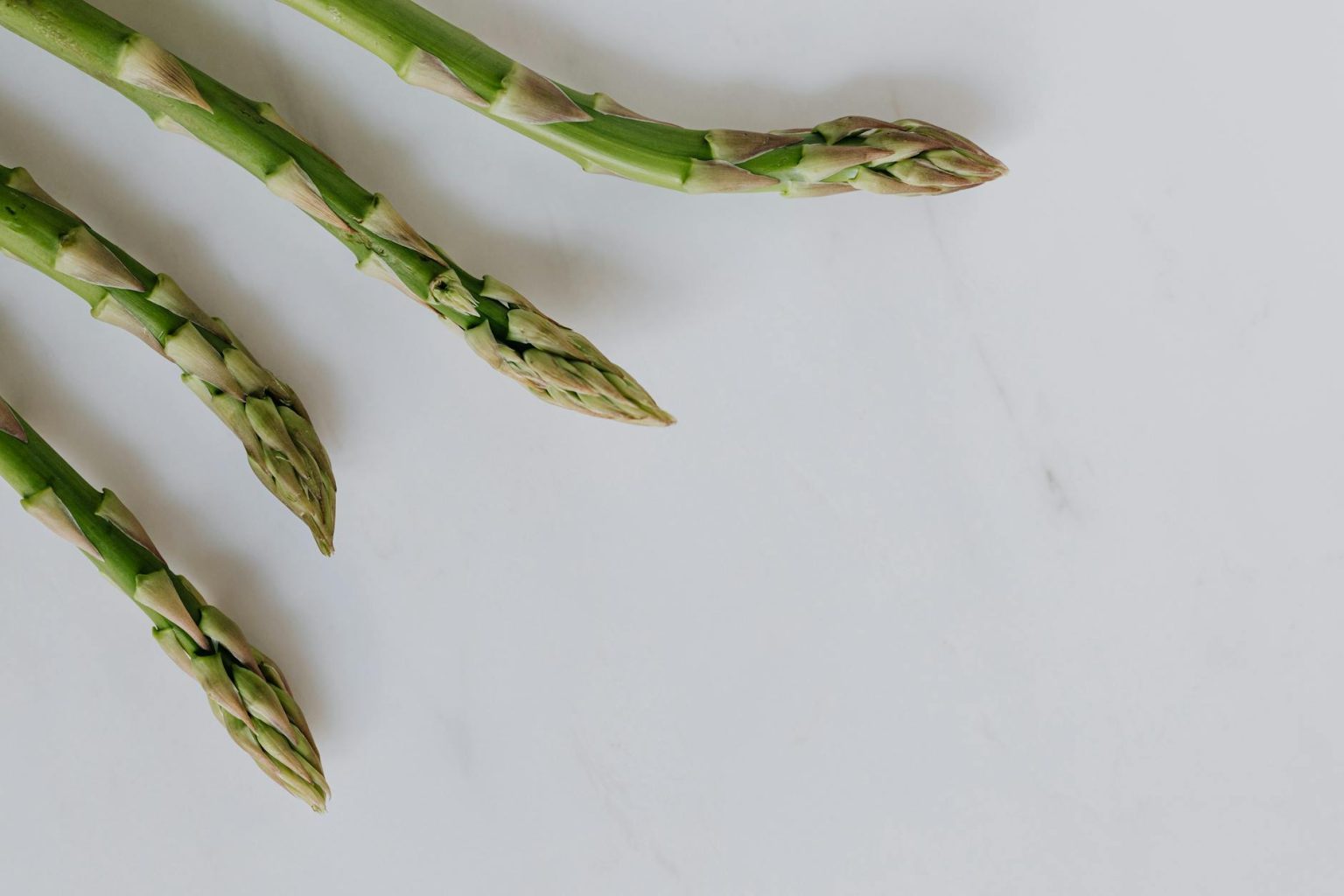 Growing Asparagus in Raised Beds