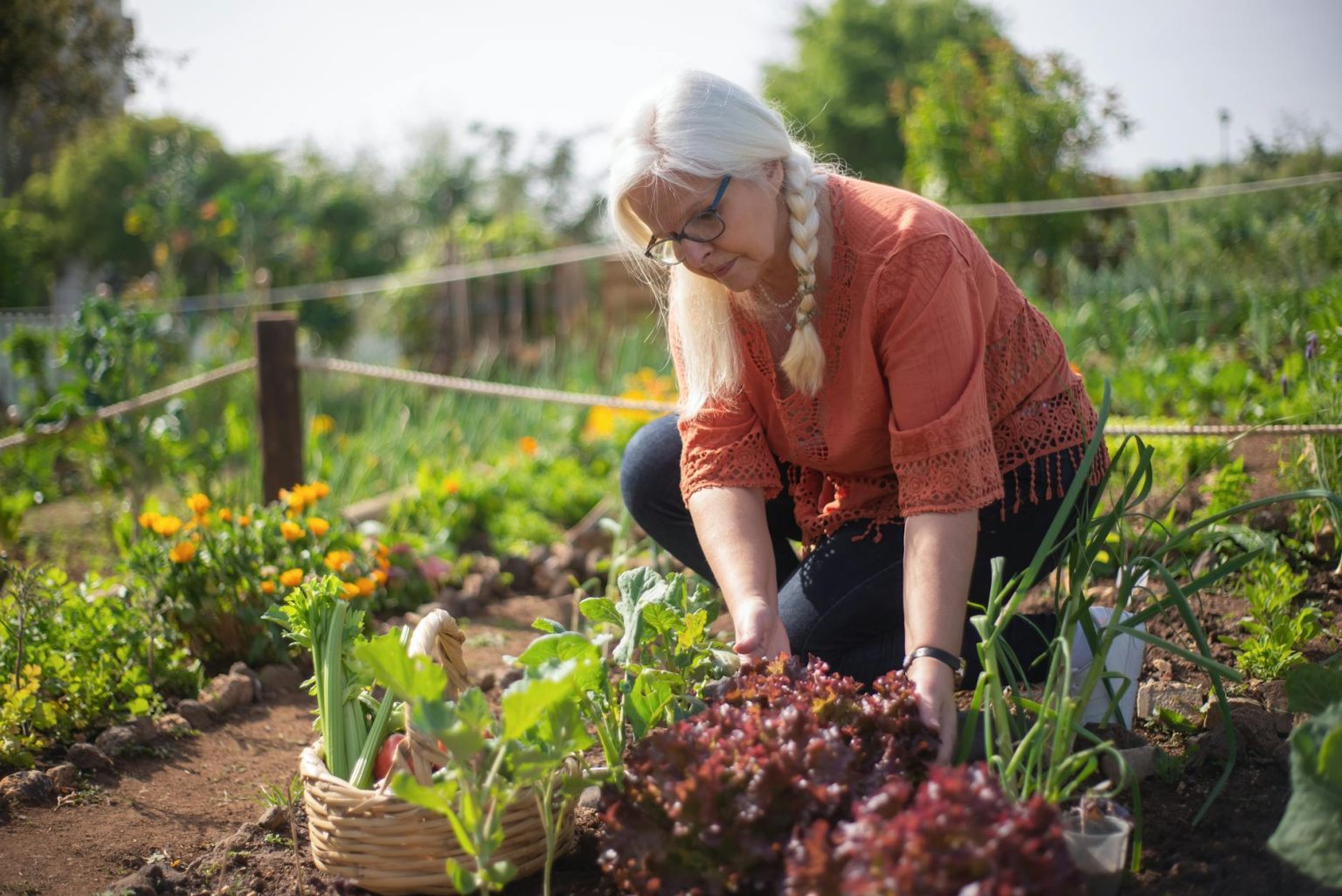 Vegetables for Cold-Weather