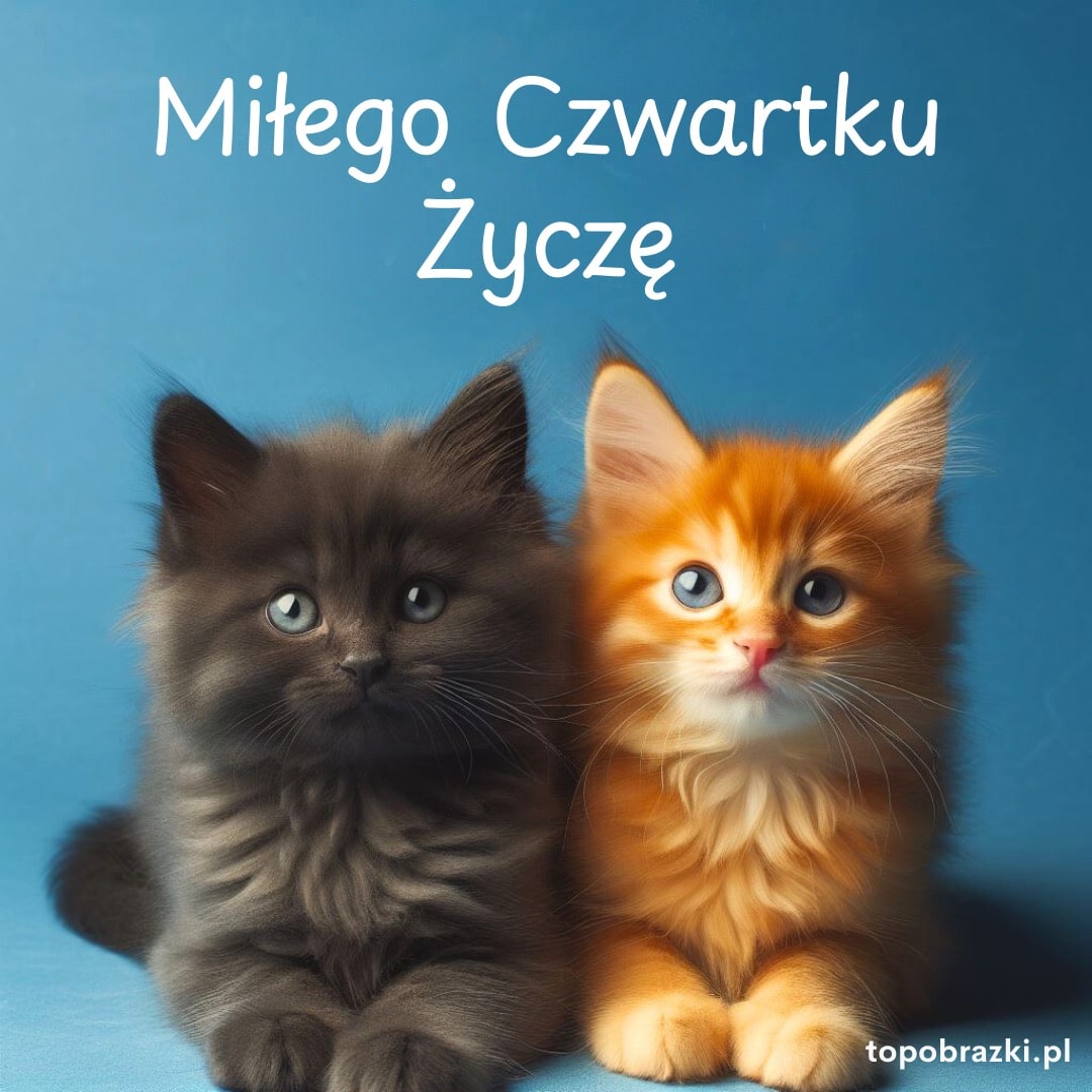 Dwa urocze kotki, czarny i rudy, siedzące razem na niebieskim tle z napisem 'Miłego Czwartku Życzę'. Kartka z ciepłymi życzeniami.