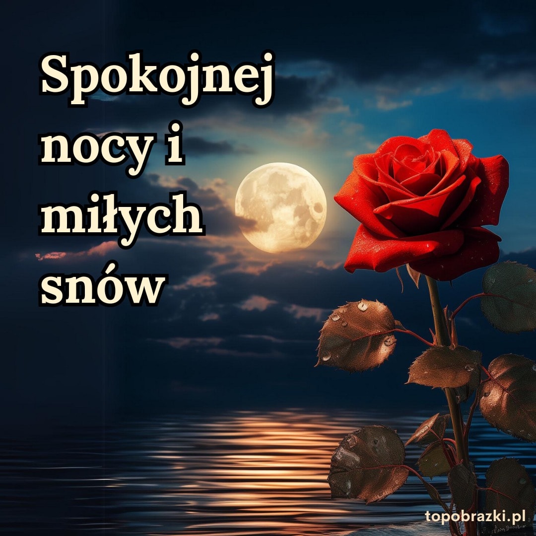 Czerwona róża na tle księżyca i nocnego nieba z napisem 'Spokojnej nocy i miłych snów'. Romantyczne życzenia na noc.