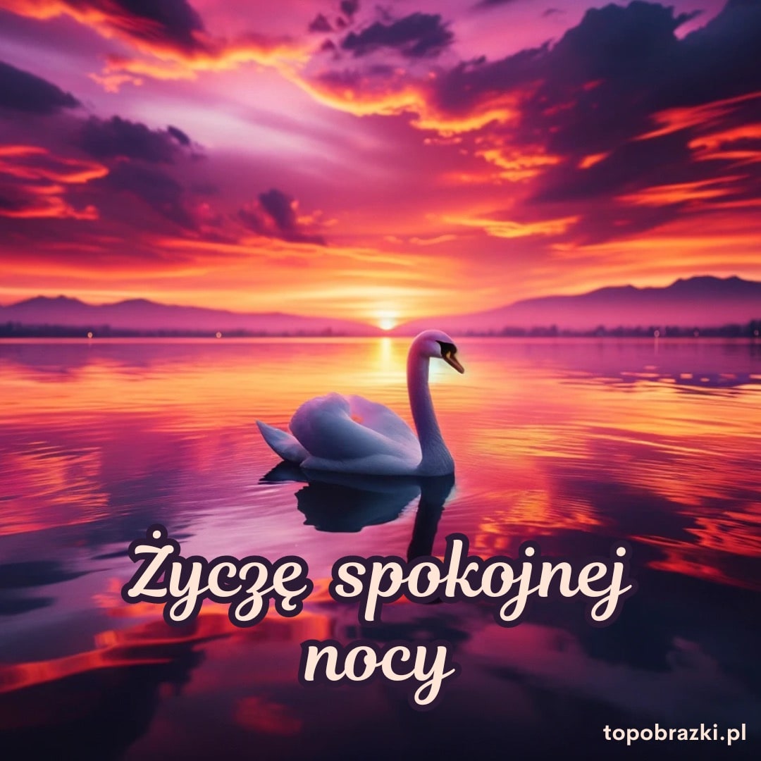 Biały łabędź na tle malowniczego zachodu słońca z napisem 'Życzę spokojnej nocy'. Piękne życzenia na dobranoc.