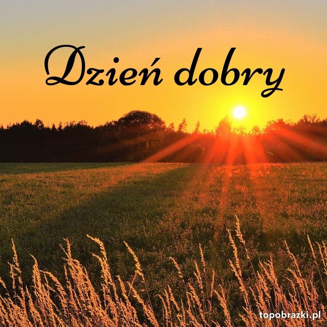 Zachodzące słońce nad zielonym polem z napisem 'Dzień dobry'. Obraz promieniujący ciepłem i spokojem poranka