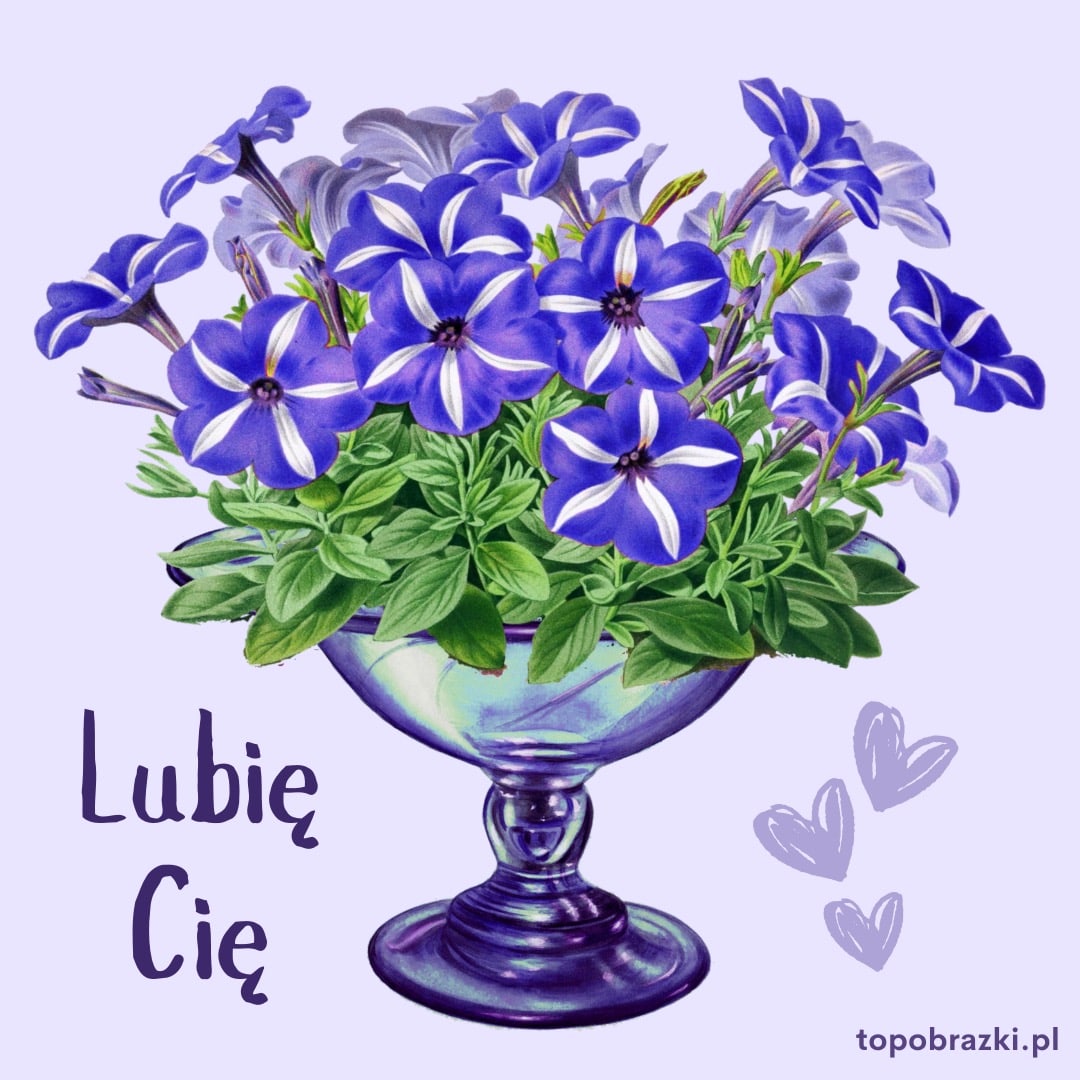 Bukiet fioletowych kwiatów w szklanym wazonie z napisem "Lubię Cię" i serduszkami.