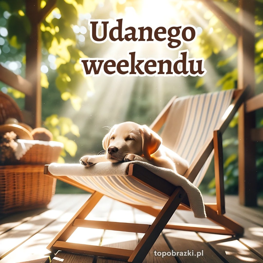 Szczeniak odpoczywający na leżaku w słońcu z napisem 'Udanego weekendu'. Słodkie życzenia na relaksujący weekend.