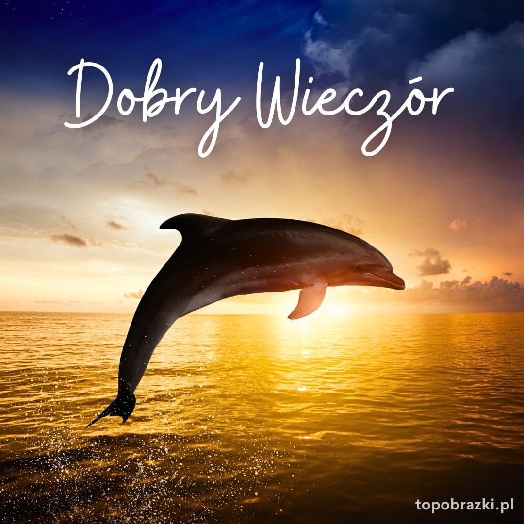 Delfin skaczący nad morzem podczas zachodu słońca z napisem 'Dobry Wieczór'. Magiczny i spokojny wieczór nad oceanem.