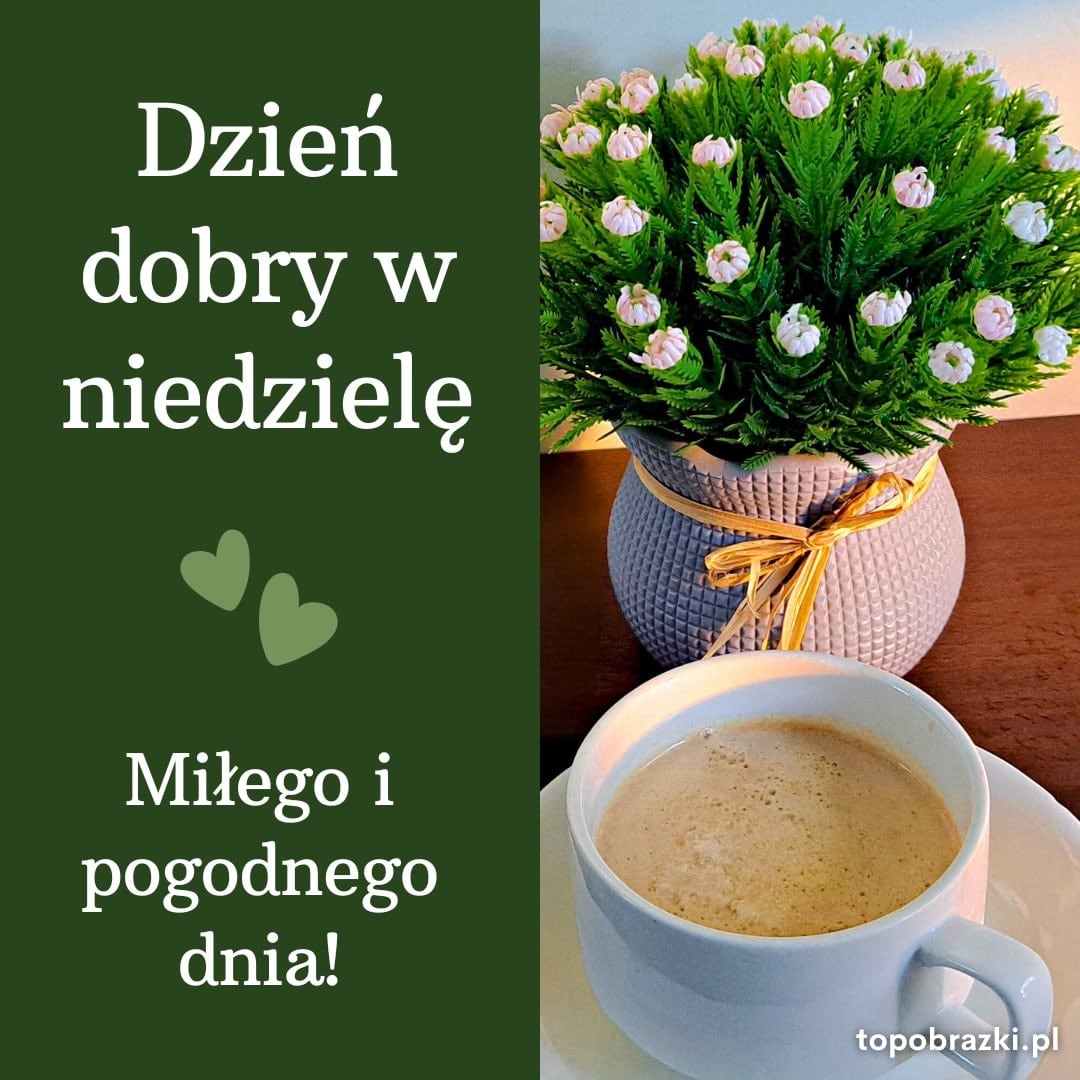 Filiżanka kawy i doniczka z różowymi kwiatami na stole, obok napisu „Dzień dobry w niedzielę. Miłego i pogodnego dnia!”.