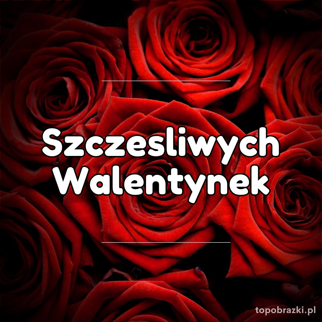 Zbliżenie na bukiet czerwonych róż, idealny obraz na Walentynki.