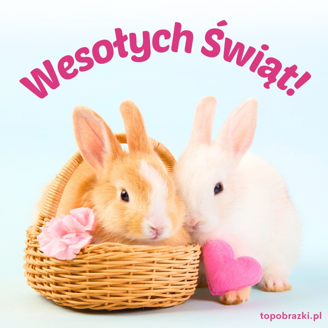 Dwa słodkie króliki w koszyku z sercem, symbolizujące Wielkanoc.