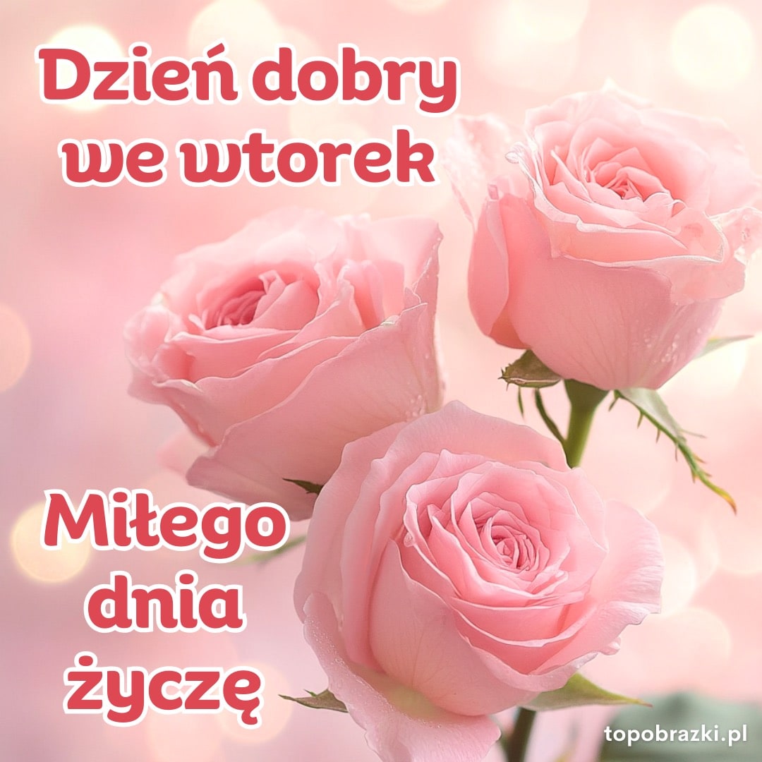 Trzy różowe róże na tle w pastelowych odcieniach, z napisem 'Dzień dobry we wtorek. Miłego dnia życzę'. Kartka z życzeniami pełnymi delikatności.