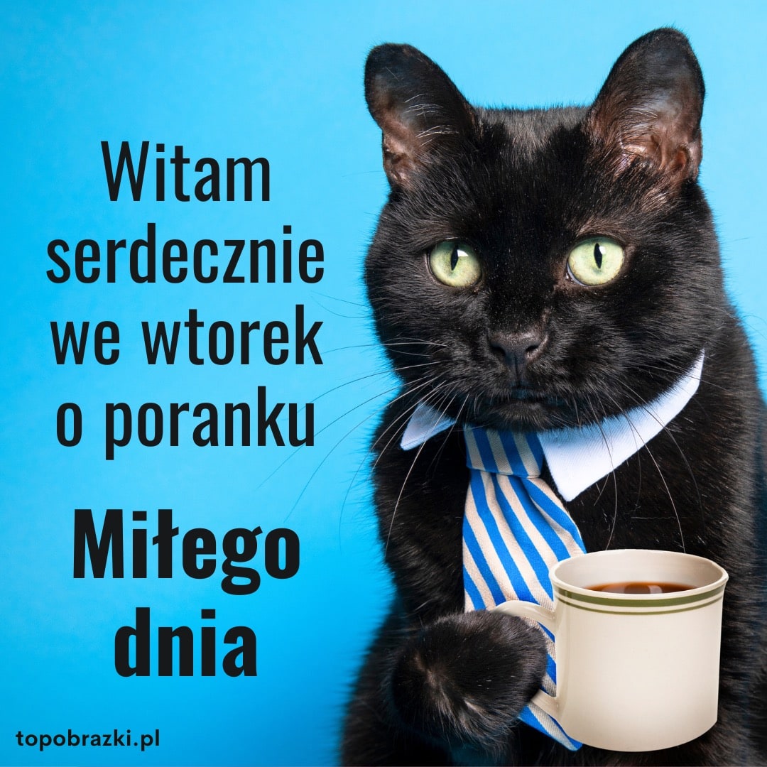 Czarny kot w krawacie trzymający kubek kawy, przedstawiający poranne pozdrowienie.