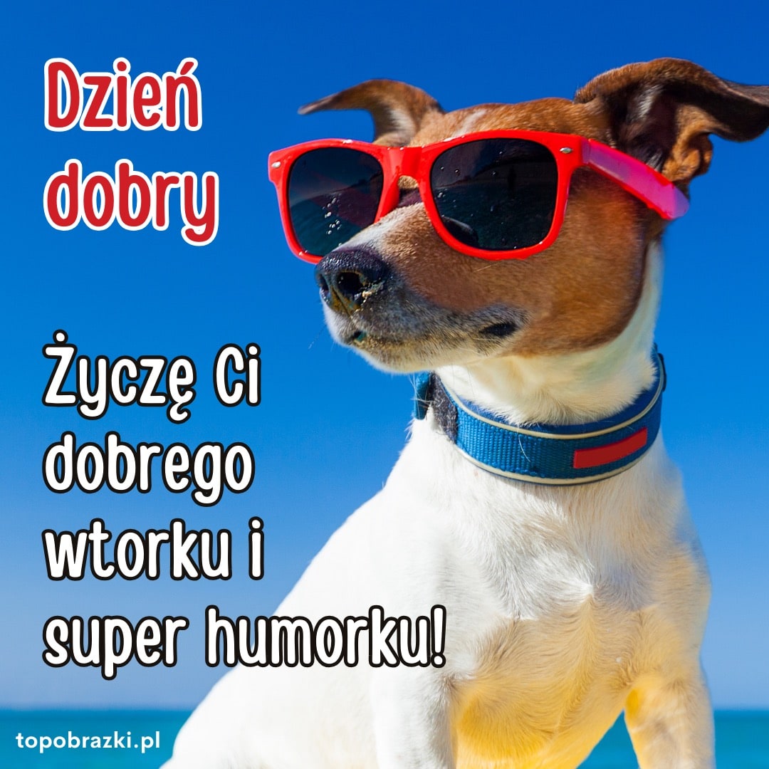 Pies w czerwonych okularach przeciwsłonecznych na tle nieba z napisem „Dzień dobry – Życzę Ci dobrego wtorku i super humorku”